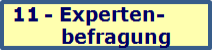 Expertenbefragung