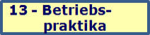 Betriebspraktika